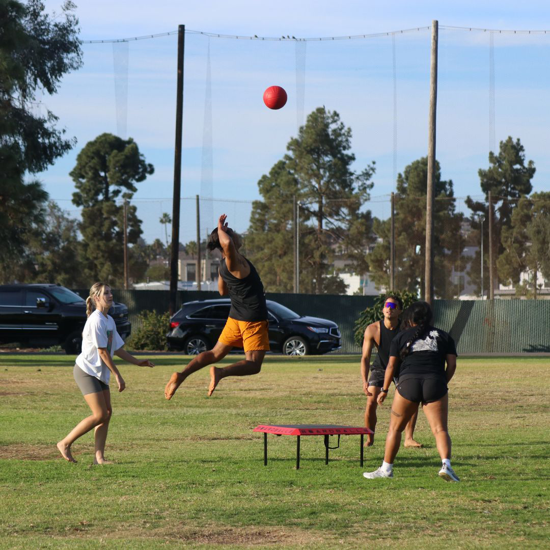 Brand - Boardball