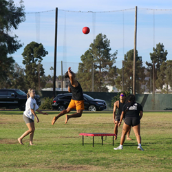 Boardball